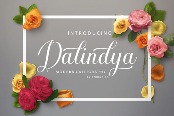 Dalinya Font Review: Elegant Script for Branding