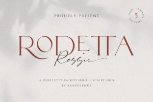 Rodetta Rossie: A Versatile Serif Font for Campaigns