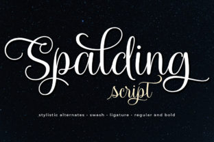 Spalding Font: Romantic Script for Elegant Branding