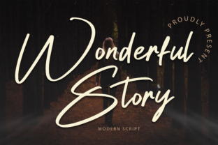 Wonderful Story: A Designer’s Honest Review